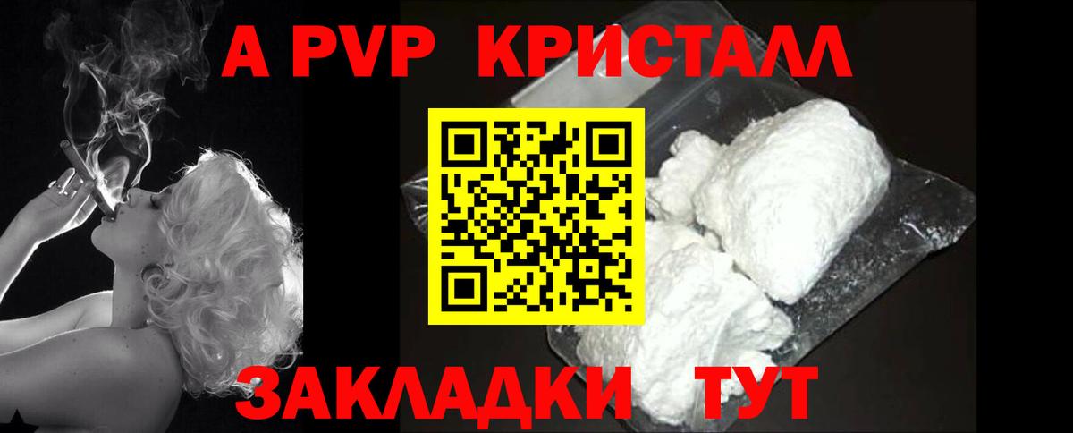 Альфа ПВП СК Сыктывкар