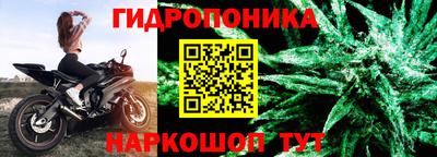 прущие грибы Кумертау
